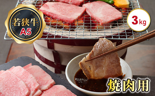 若狭牛焼肉用（A5ランク）　3.0ｋｇ