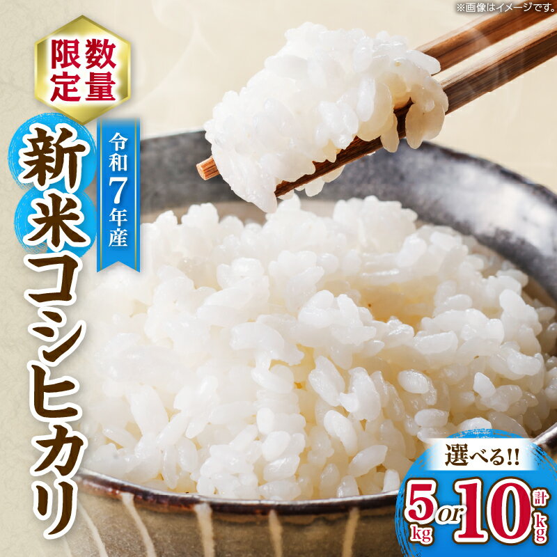 【ふるさと納税】≪内容量が選べる≫ 令和7年産 新米 コシヒカリ お米 ご飯 ライス 国産 数量限定 期間限定 人気 食品 精米 白米 こしひかり 有洗米 おにぎり お弁当 炊き込みご飯 雑炊 ギフト プレゼント 贈り物 お取り寄せ 産地直送 宮崎県 日南市 送料無料