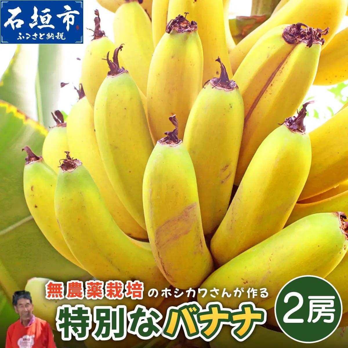 希少！無農薬栽培の千川さんが作る特別なバナナ2房