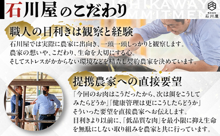 国産 知多牛 響 ハンバーグ 3kg (130g × 24個) 合挽 あいびき 玉ねぎ 牛 豚肉 牛乳 卵 塩 胡椒 冷凍 ご飯 牛肉 牛肉
