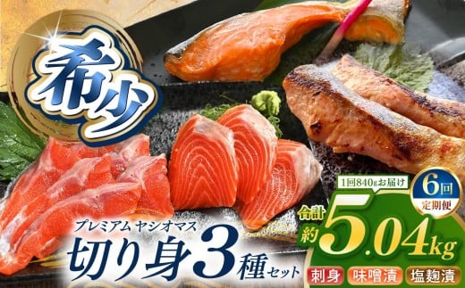 【定期便6回】産地直送栃木県のブランド魚「プレミアムヤシオマス」の切身セット 味噌漬、塩麹漬、刺身(生食用) | 国産 産地直送  [ 冷凍便 ] | 魚 ます 養殖 産地直送 栃木県 (毎月お届け）