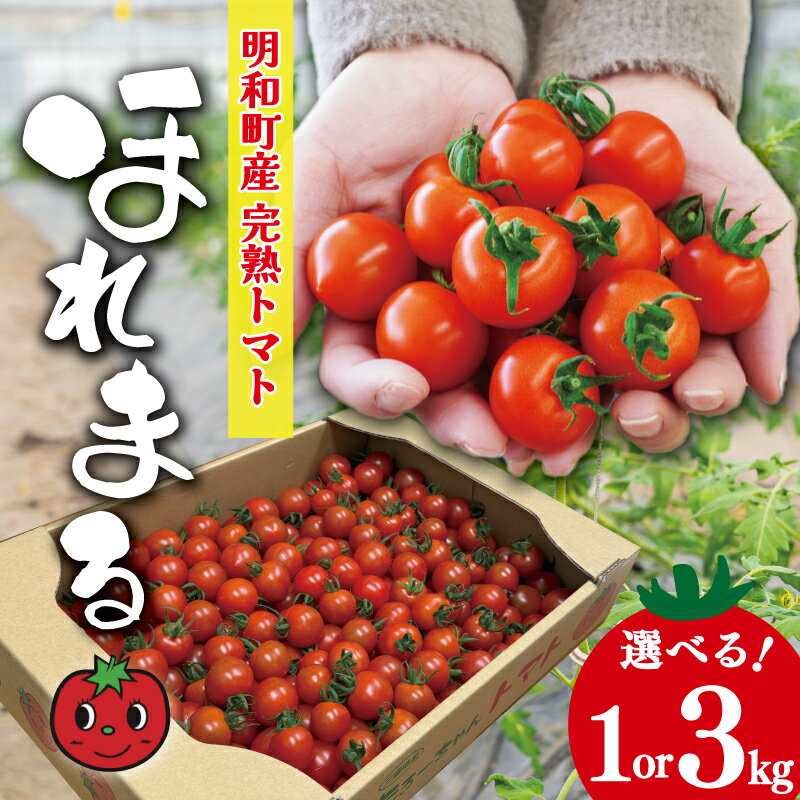 【ふるさと納税】明和町産 完熟 トマト ほれまる 選べる 1kg 3kg ミニトマト 朝採り 新鮮 生鮮 野菜 あっさり