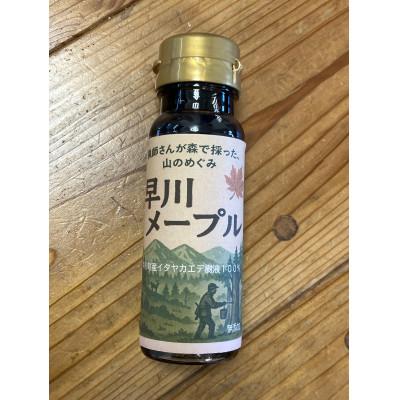 ふるさと納税 早川町 【早川ジビエ】猟師が採ったメープルシロップ　100ml×1本