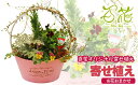 【ふるさと納税】花 寄せ植え 完成品 ギフト 花器 百花オリジナルの寄せ植え (3000円分) プレゼント ガーデニング 季節 お花 お祝い 贈り物 誕生日 母の日 父の日 敬老の日 フラワー グリーン 観葉植物 記念日 結婚祝い 生花 春 夏 秋 冬 百花 -MoKa- 岩手県 滝沢市 送料無料