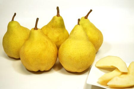 新潟特産 和梨と幻の洋梨ル・レクチエ セット《2023年11月中旬～お届け》（新興梨 3個 ルレクチエ 4個）果物 フルーツギフト 冬の味覚 産地直送加茂市 山伴しなの川フルーツガーデン ルレクチェ 