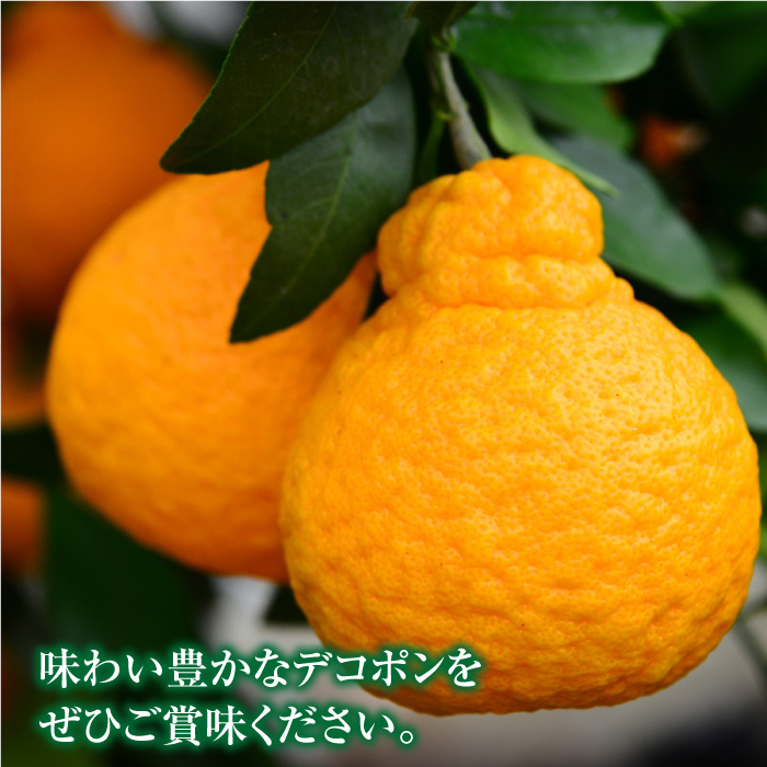 【1月中旬〜3月下旬発送】佐賀県産 みかん「デコポン」5kg 吉野ヶ里町/リエンサーク [FCC007]