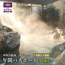 【ふるさと納税】西米良温泉「ゆた〜と」年間パスポート　宮崎県　西米良村