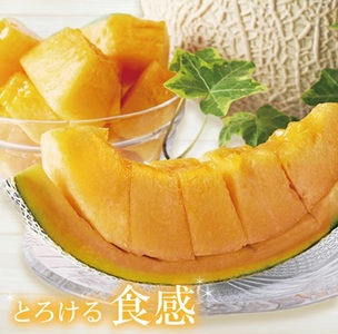 SA2948　美味しいメロンの食べ比べ 「秀品 青肉メロン＆赤肉メロン」　計2玉(各大玉3L・1玉)