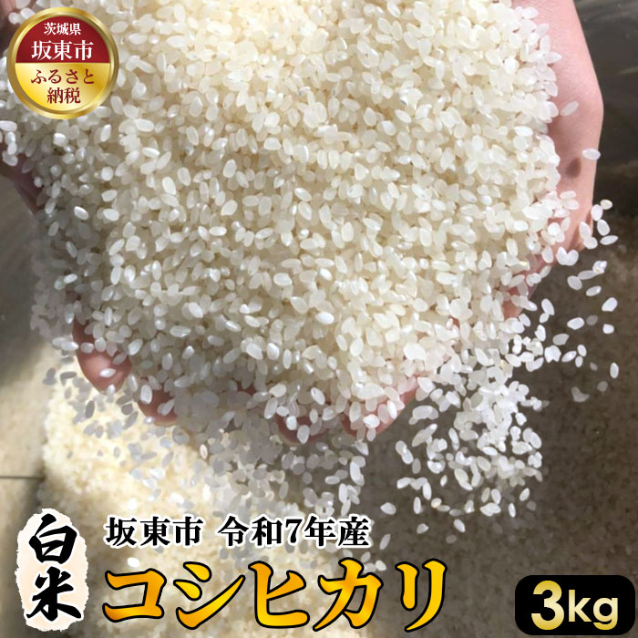 【ふるさと納税】 白米　コシヒカリ3kg【令和7年産】／ 自然 お米 米 こめ 送料無料 茨城県 No.387