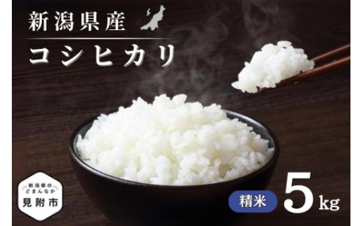 令和7年産 新潟県産 コシヒカリ 5kg 精米 新米 お米 白米 コシヒカリ こしひかり おすすめ 人気 こめ コメ 新潟 見附 見附市 7年 2025年産 ふるさと納税 諸長