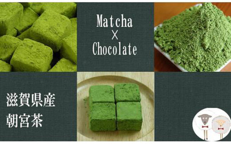 訳あり お抹茶 生チョコレート 約350ｇ 生チョコレート