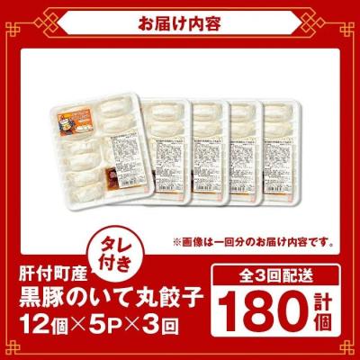 ふるさと納税 肝付町 【3回定期】肝付町産　黒豚のいて丸餃子　合計60個(たれ付)　A43086 |  | 03