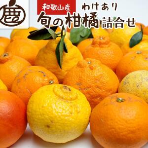 ＜1月より発送＞ 家庭用 柑橘 詰合せ 5kg+150g（傷み補償分） 訳あり わけあり 有田の春みかん詰め合わせ フルーツ詰め合せ オレンジつめあわせ 光センサー選別 ［IKE116］