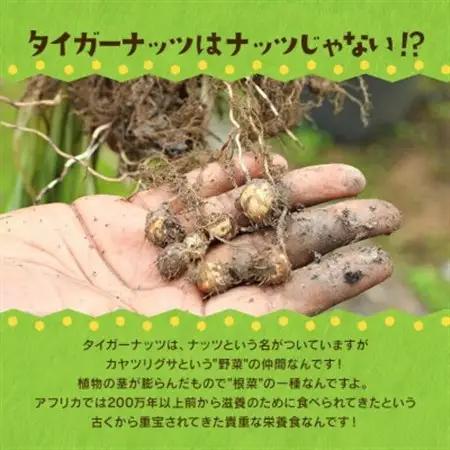 タイガーナッツ グラノーラ(ドライフルーツ) 10袋【1581014】