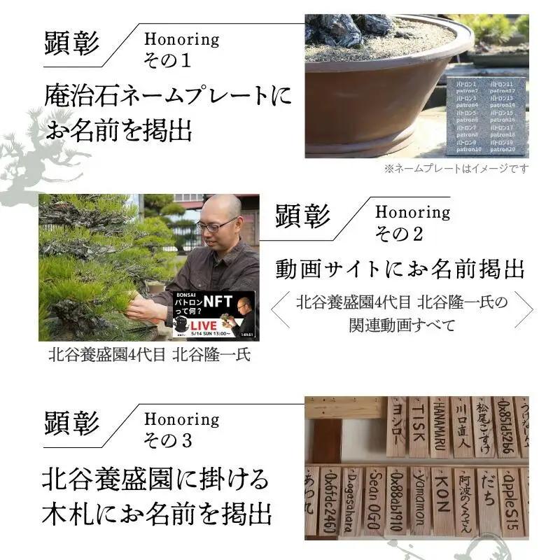 【ふるさと納税】盆栽パトロンNFT 特別ランク（デジタル商品・実物の盆栽は含まれません）