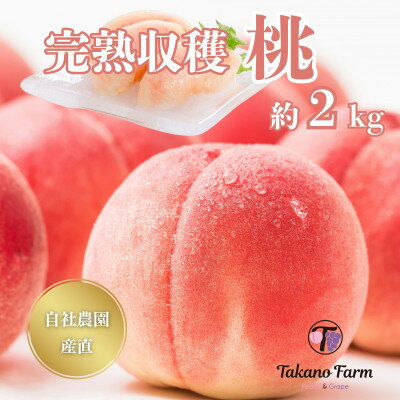 【ふるさと納税】【2025年先行予約】完熟収穫桃 約2kg 山梨県産 自社農園産直!【配送不可地域：離島】【1579459】