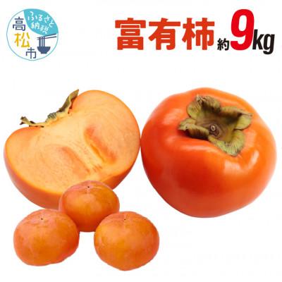 ふるさと納税 高松市 【先行受付2026年】富有柿　約9kg