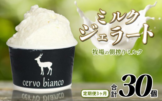 ジェラート 計30個 10個×3ヶ月定期便 詰め合わせ セットじぇらーと 美味しいジェラート 甘いジェラート ふるさと納税ジェラート ミルクジェラート アイス 濃厚ミルク ミルクアイス ミルク 濃厚 牧場ミルク あいす ソフトクリーム アイスクリーム スイーツ お菓子 洋菓子 おかし デザート 贈り物 ギフト 贅沢 口溶け なめらか cervo bianco チェルボビアンコ 奈良県 奈良市 なら