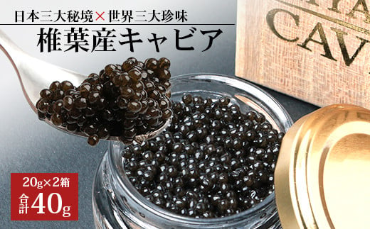 【桐箱入り】HEIKE CAVIAR 40ｇ 【宮崎県 椎葉村】【世界三大珍味×日本三大秘境】［宮崎 椎葉 国産 ちょうざめ チョウザメ きゃびあ キャビア 40g 魚卵 卵 クリーミー ギフト 記念日 誕生日 プレゼント チョウザメ お酒 魚介 珍味 加工品 冷凍 高級 贅沢 お取り寄せ ディナー パーティー おつまみ グルメ お祝い 贈り物 贈答 父 母 桐箱 希少］【SZ-105】