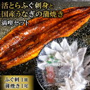 【ふるさと納税】活とらふぐ刺身と国産うなぎの蒲焼き満喫セット（ふぐ刺1皿・蒲焼き1尾）