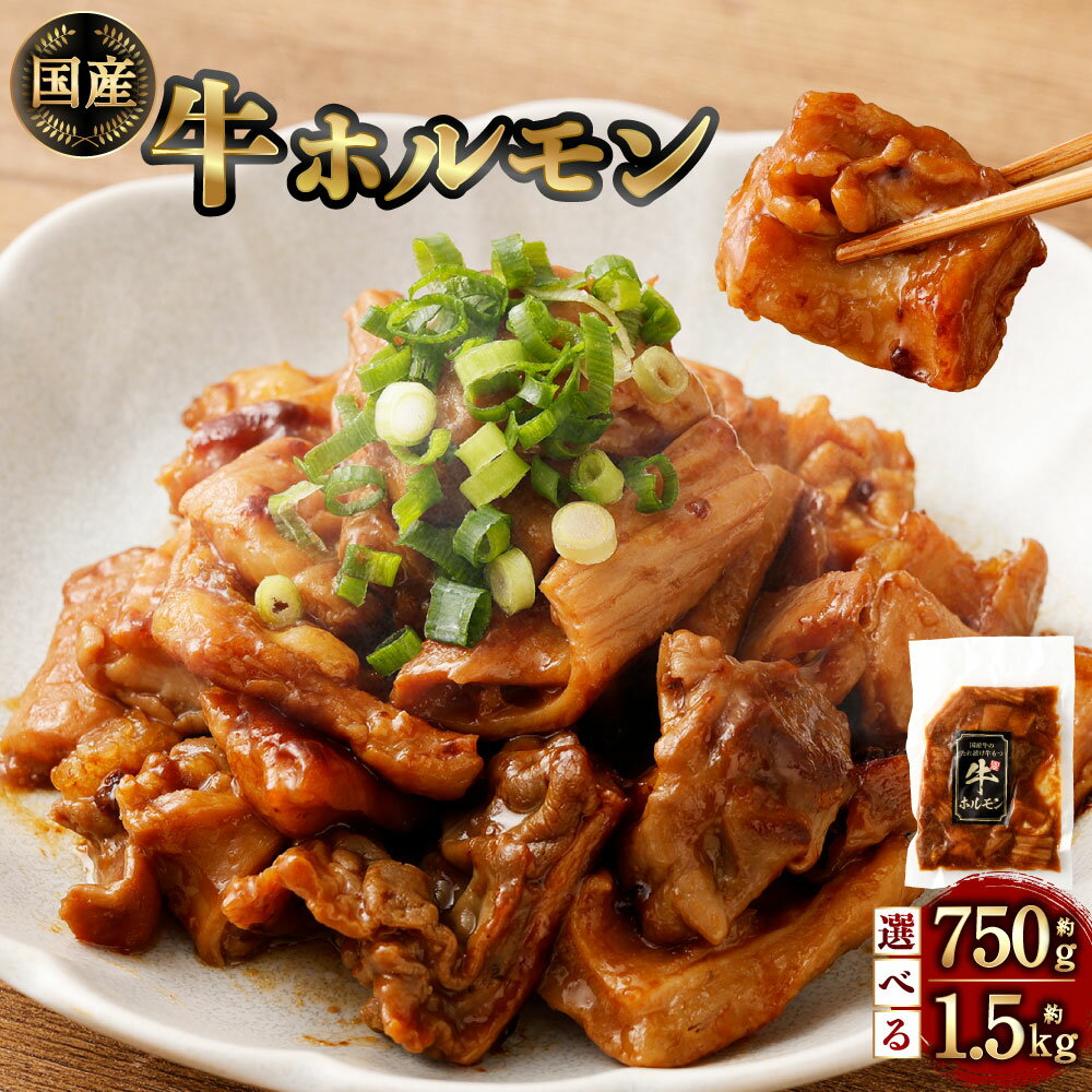 【ふるさと納税】【選べる容量】国産 牛ホルモン 約750g（約150g×5袋）もしくは 約1.5kg（約150g×10袋）ホルモン 白もつ 白モツ 牛 肉 お肉 タレ 味付き おかず 惣菜 おつまみ 湯煎 簡単調理 冷凍 静岡県 菊川市 送料無料