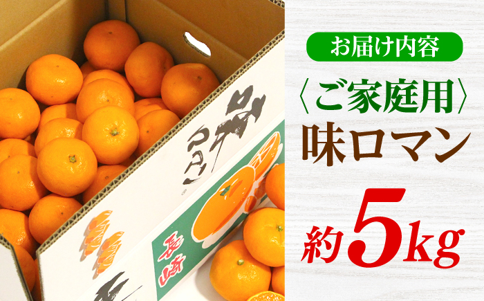 【ご家庭用】 長崎 味ロマン みかん 約5kg＜長崎西彼農業協同組合＞ [CGU001]