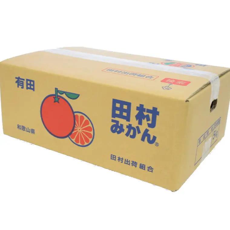 【ブランドみかん】田村みかん約5kg（2Lサイズ・秀品）　【2026年11月下旬～2026年12月下旬頃順次発送】【tec882A】