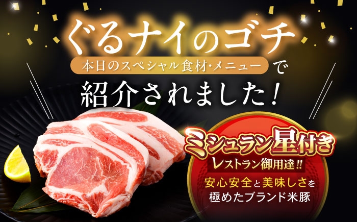 豚肉 ぶたにく ステーキ すてーき ロース ろーす ロースステーキ ろーすすてーき テキカツ 焼肉 焼き肉 生姜焼き