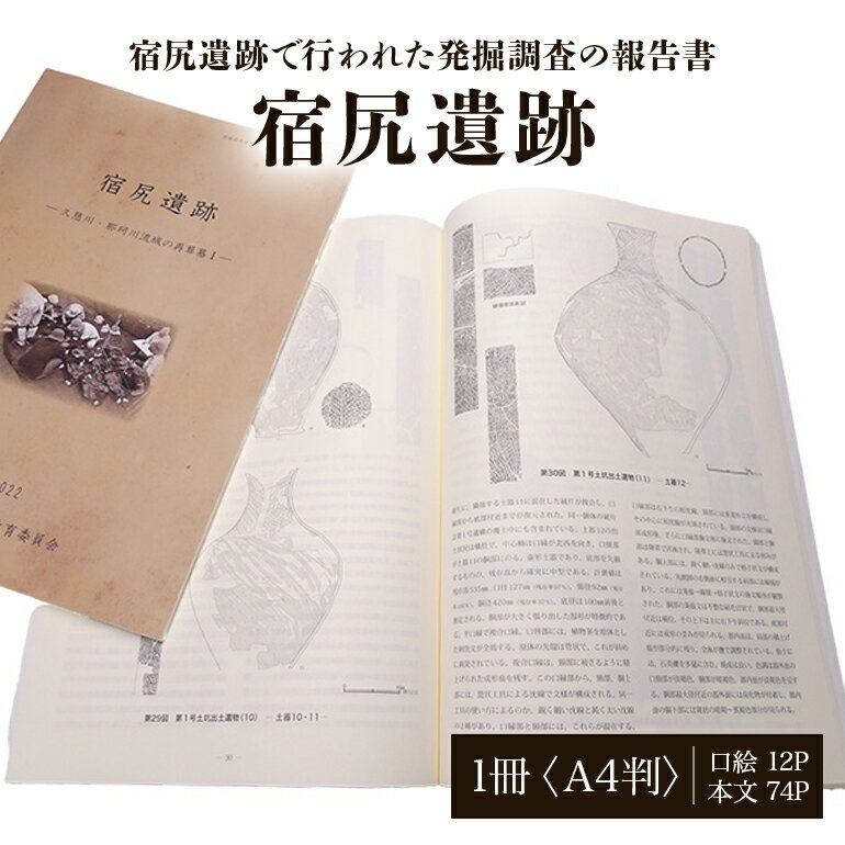 【ふるさと納税】宿尻遺跡 1冊 弥生時代 考古学 遺跡 発掘 調査報告書 歴史 資料 報告書 壺形土器 茨城県 送料無料 【常陸大宮市教育委員会事務局文化スポーツ課】 【ho1309】