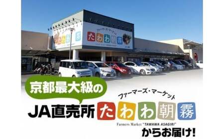 令和7年産 キヌヒカリ 5kg 精米 白米