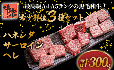 【A4~A5ランク黒毛和牛】希少部位 3種類セット 計300g ハネシタ サーロイン ヘレ 黒毛和牛 黒毛和牛 黒毛和牛