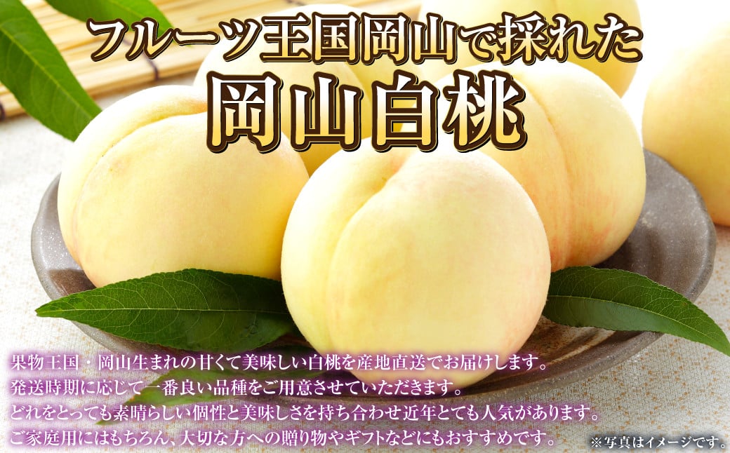 岡山白桃 ロイヤル 4～8玉 約1.2kg 岡山県産