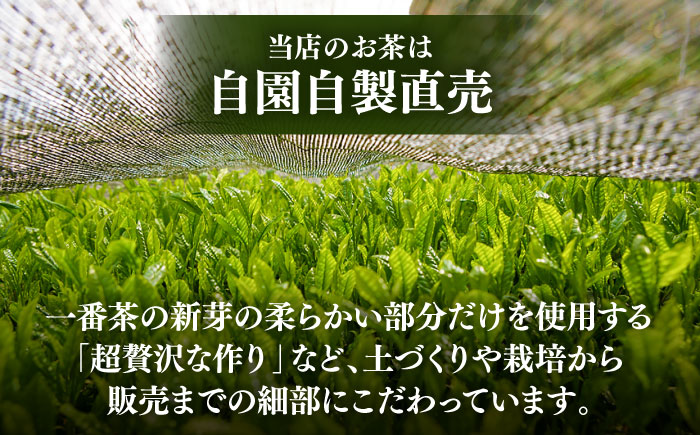 ふかむし茶 「極」 3本詰め セット 計300g / お茶 日本茶 深蒸し茶 受賞 濃厚 自社農園 熊本県 菊陽【有限会社 お茶の福本園】 [BHAI001]