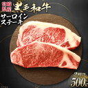 【ふるさと納税】牛肉 黒毛和牛 宮崎産 サーロインステーキ(250g×2枚) 計500g [ウィズ・クリエイティブ 宮崎県 日向市 23-07] 和牛 肉 ステーキ サーロイン 冷凍 真空パック