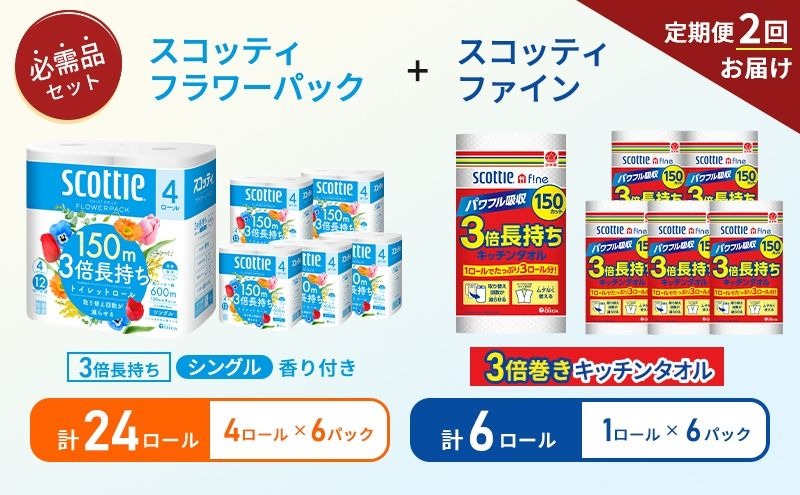 【 6ヶ月ごと計 2回お届け 】キッチンペーパー 6パック入 スコッティ ファイン 1ロール 3倍 150カット トイレットペーパー シングル フラワーパック 24ロール (4ロール × 6パック)