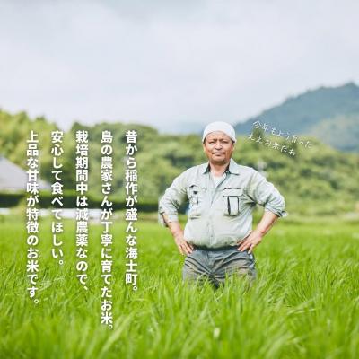 ふるさと納税 海士町 島のブランド米「本氣米(コシヒカリ)」10kg |  | 01