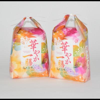 ふるさと納税 養父市 2025年9月以降発送【蛇紋岩ブランド　華やか一膳20kg】 |  | 03