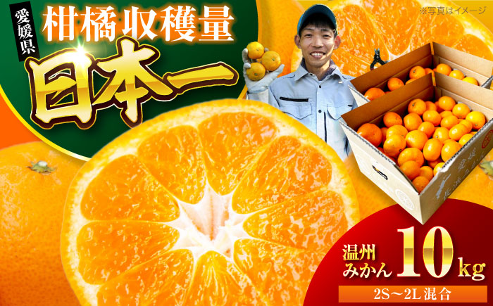 【先行予約】【12月上旬から順次発送】酸味さわやか愛媛じるし! 温州みかん 10kg （2Sから2L混合サイズ） みかん 愛媛 みかん 果物 くだもの フルーツ 愛媛県大洲市/玉川農園 [AGBC006]