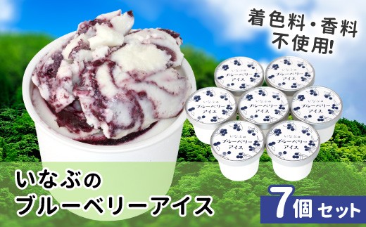 
                  農薬・除草剤不使用！皮ごと使用！稲武のブルーベリー アイス(80ml)×7個入り
                