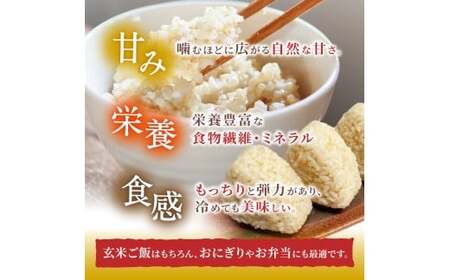 玄米 先行予約 葛城山麓米 ヒノヒカリ（玄米）計5kg [ 5kg×1袋 ] 令和8年産 【2026年10月下旬～順次発送】 葛城市【smlk024】