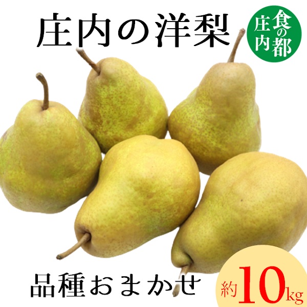 食の都庄内　庄内の洋梨（品種おまかせ）約10kg※9月下旬～1月下旬頃まで配送 [HS4-049(庄内旬青果)]