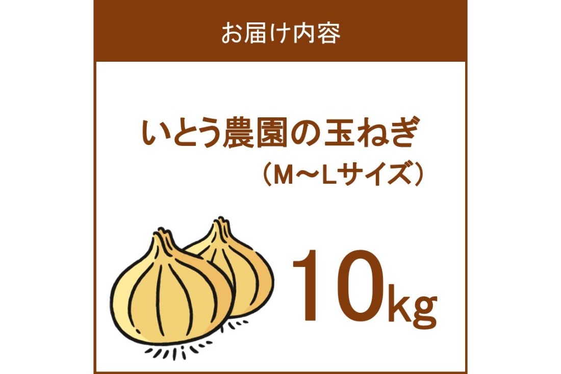 【予約：2024年10月中旬から順次発送】いとう農園の玉ねぎ 10kg ( 玉葱 タマネギ 野菜 期間限定 数量限定 10キロ )【181-0002】