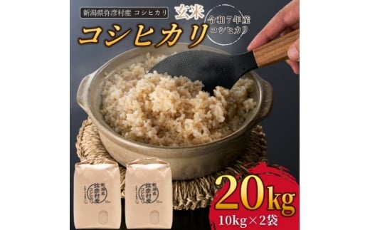 新潟県弥彦村石井農園　令和7年産 コシヒカリ＜玄米 20kg＞【1538645】