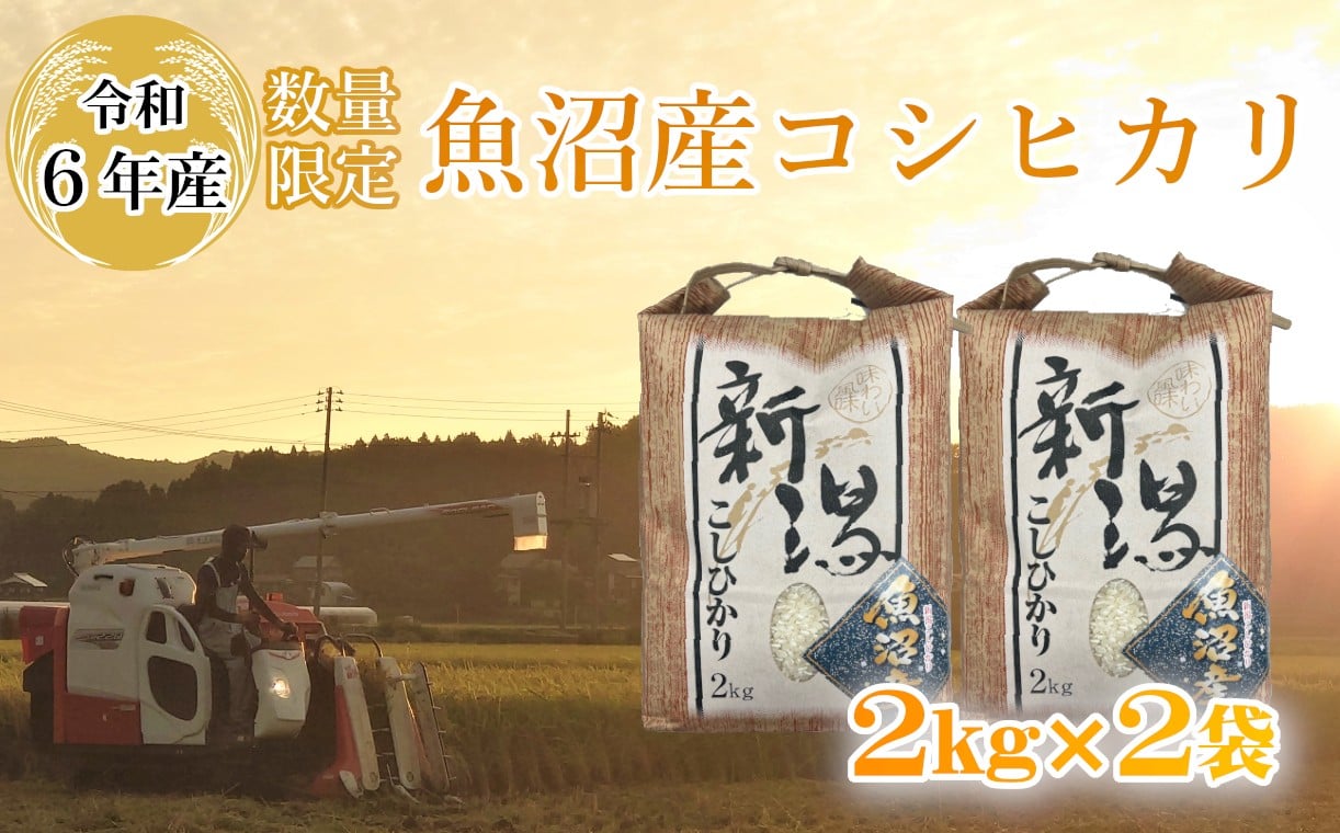 
            【数量限定】令和6年産 魚沼産コシヒカリ 2kg×2袋 精米 宮内農園 【0002-0267-01】
          