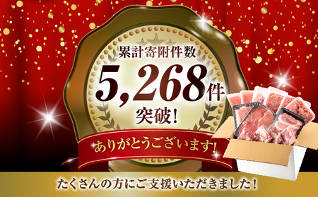 宮崎県産 豚肉 お楽しみセット 計4.1kg【豚肉 宮崎県産 豚肉 県産 豚肉 ロース 豚肉 豚バラ 豚肉 もも 豚肉 スライス 豚肉 とんかつ 豚肉 切り落とし 豚肉 ミンチ 豚肉 小分け 豚肉 宮