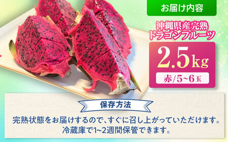 農家直送！南国の果物 ドラゴンフルーツ 2.5kg 火龍果 果物 フルーツ デザート お取り寄せ 沖縄市 / タカエス フルーツ＆ベジタブル[BCBH002]