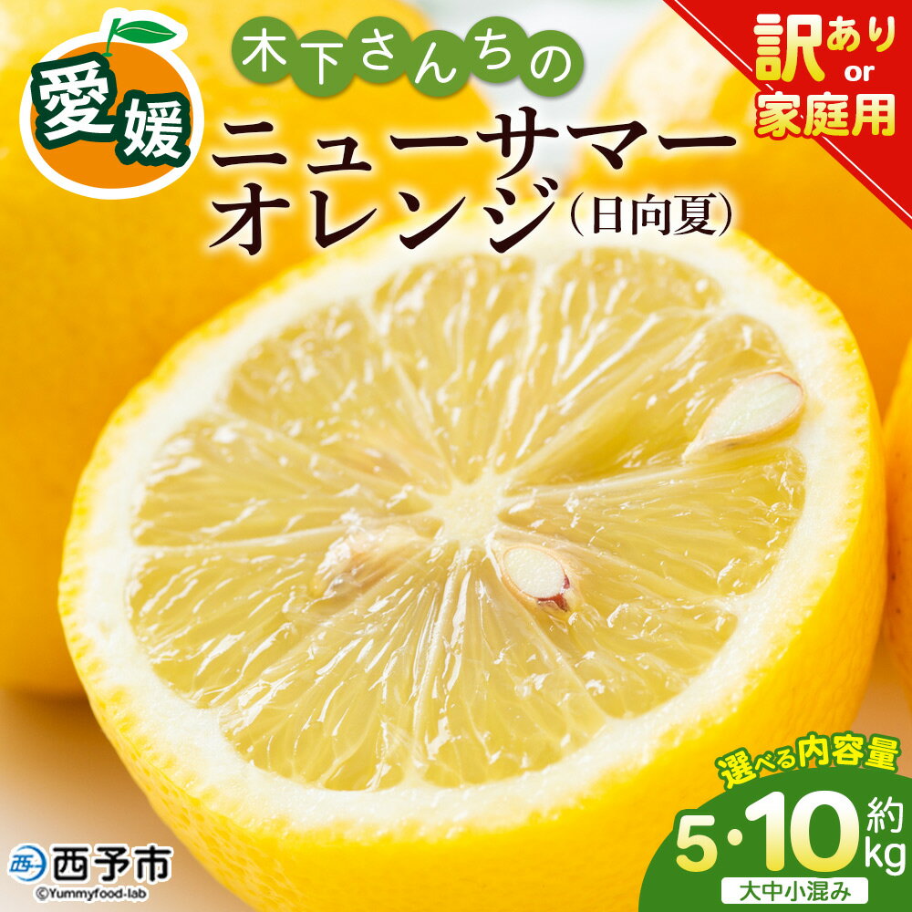 【ふるさと納税】＜木下さんちのニューサマーオレンジ 訳あり 約5kg/10kg（大中小サイズ混み）＞ 選べる 内容量 訳アリ 家庭用 自宅用 柑橘 日向夏 ミカン 蜜柑 果物 くだもの フルーツ 国産 特産品 木下農園 愛媛県 西予市【常温】『2026年4月上旬～5月上旬に順次出荷』