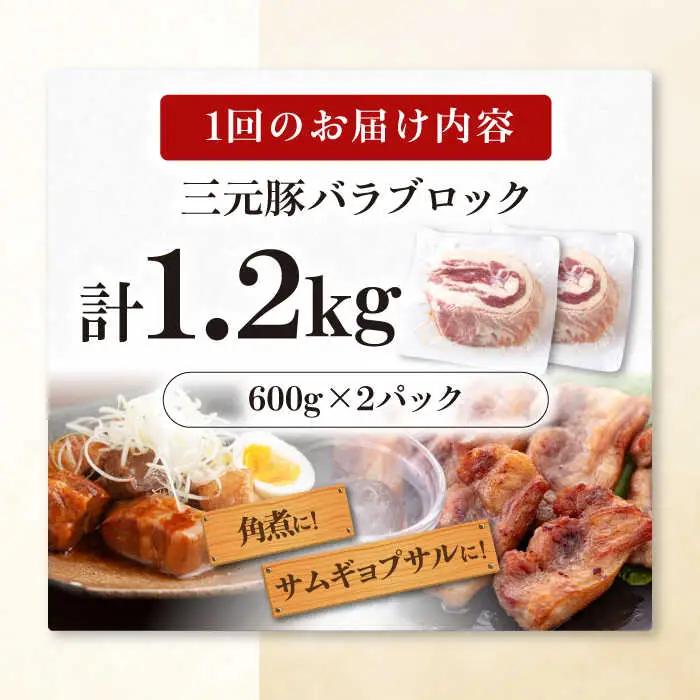 【全3回定期便】平田牧場 バラ ブロック 1.2kg (600g×2P) 豚肉 煮豚 [AJAP107]