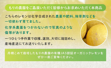 【有機JAS認証】レモン島からお贈りするオーガニックレモン 5kg 有機レモン 2026年2月以降発送予定 産直 国産 有機栽培