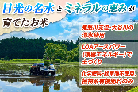 [定期便／3回] JAS有機認定 こしひかり 合計9kg (3kg×3回) [日光ダイヤ舞／玄米3kg] 令和7年10月上旬より順次発送｜2025年度米 令和7年度米 オーガニック米 JAS有機認定 
